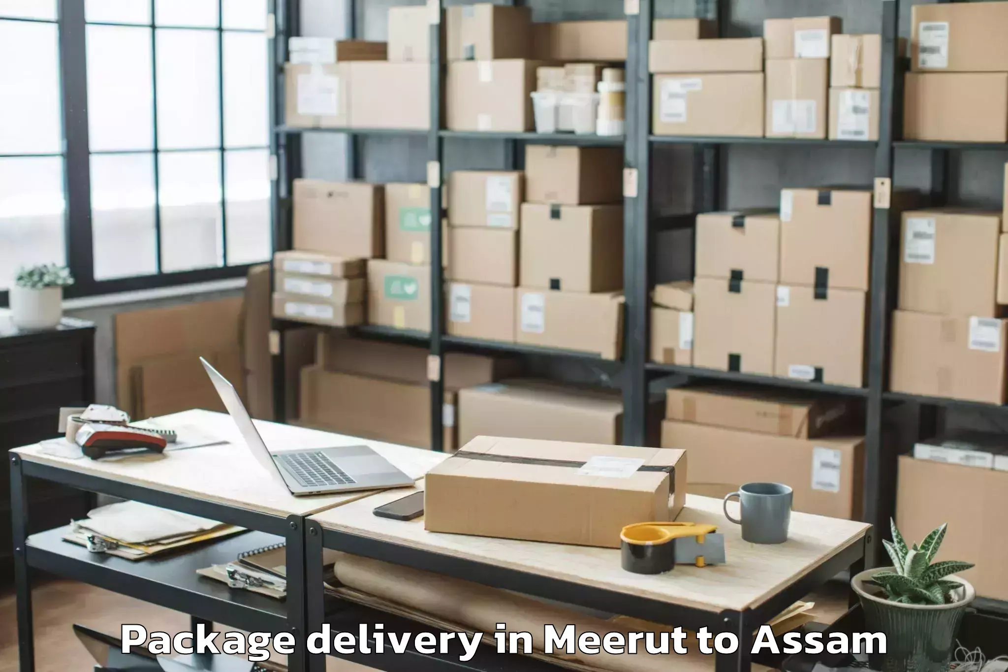 Professional Meerut to Agomani Package Delivery